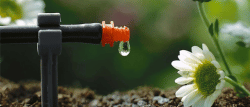 Drip Irrigation