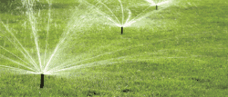 Sprinkle Irrigation